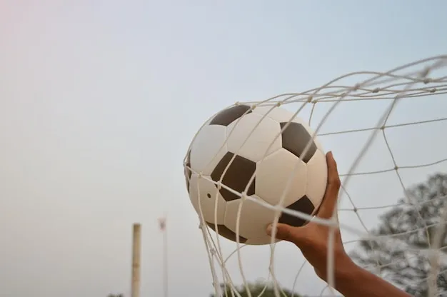 法甲国际赛场现场画面